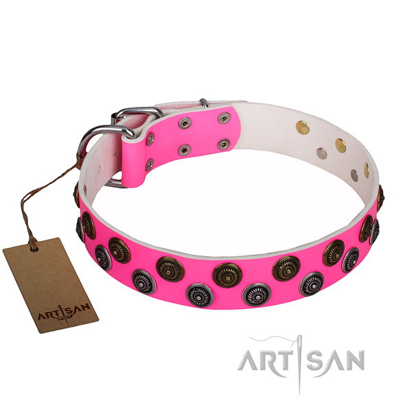 Incredible genuine leather dog collar for walking
