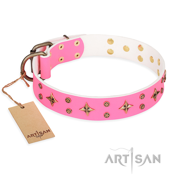 Unusual natural genuine leather dog collar for walking