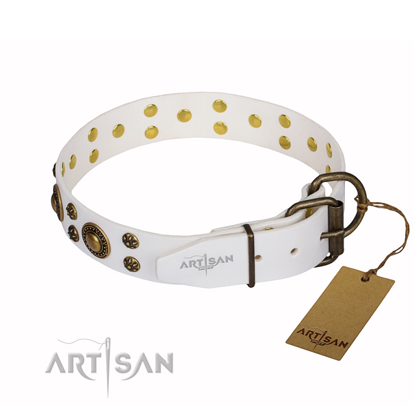 Impressive natural genuine leather dog collar for everyday walking