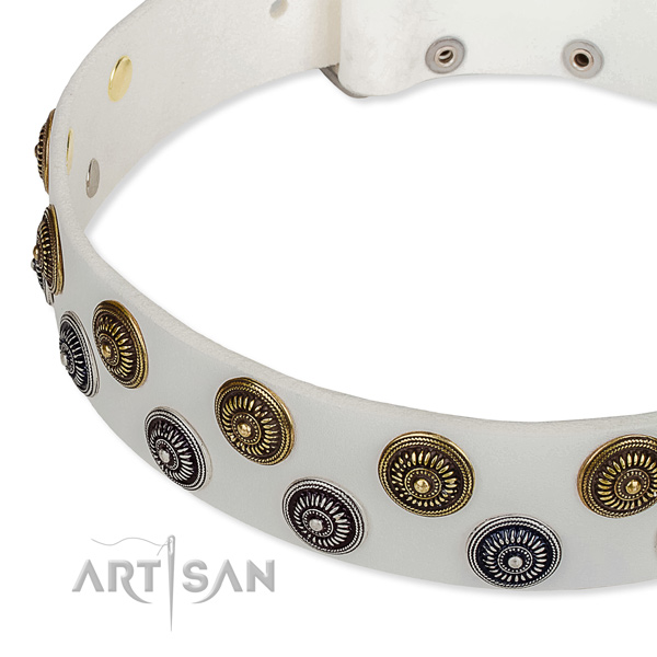Genuine leather dog collar with remarkable adornments