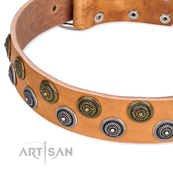 Genuine leather dog collar with top notch embellishments