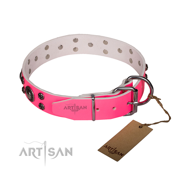 Everyday walking genuine leather collar with durable buckle and D-ring