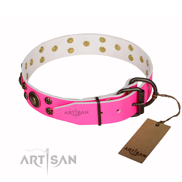 Top notch full grain leather dog collar for daily use