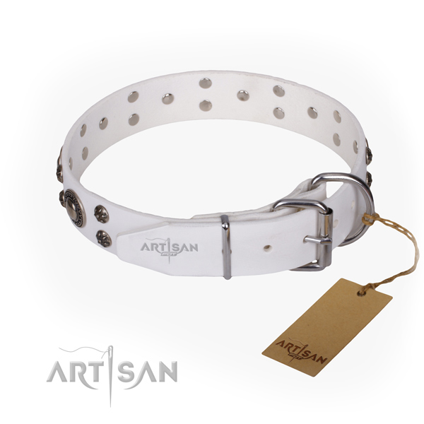 Stylish walking full grain natural leather collar with adornments for your dog