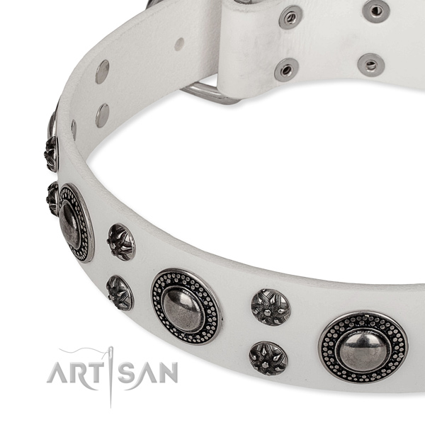 Stylish walking leather collar with corrosion proof buckle and D-ring