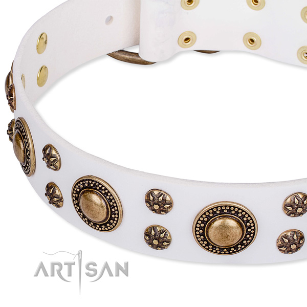 Leather dog collar with extraordinary adornments