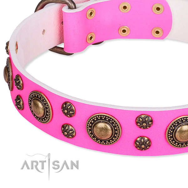 Natural genuine leather dog collar with trendy studs