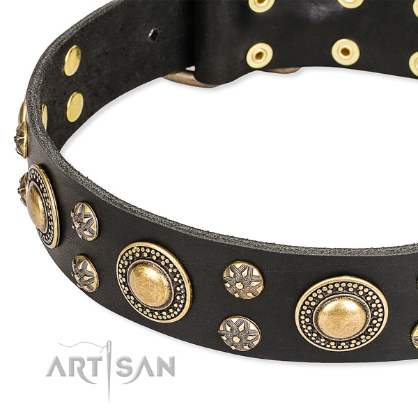 Everyday use genuine leather collar with reliable buckle and D-ring