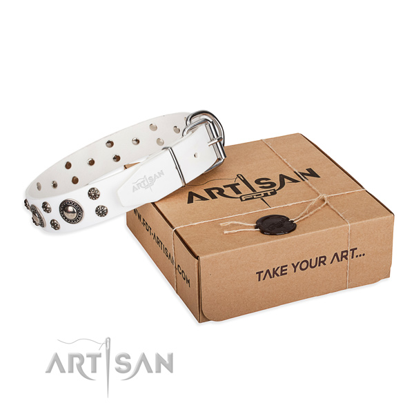 Trendy full grain genuine leather dog collar for everyday walking