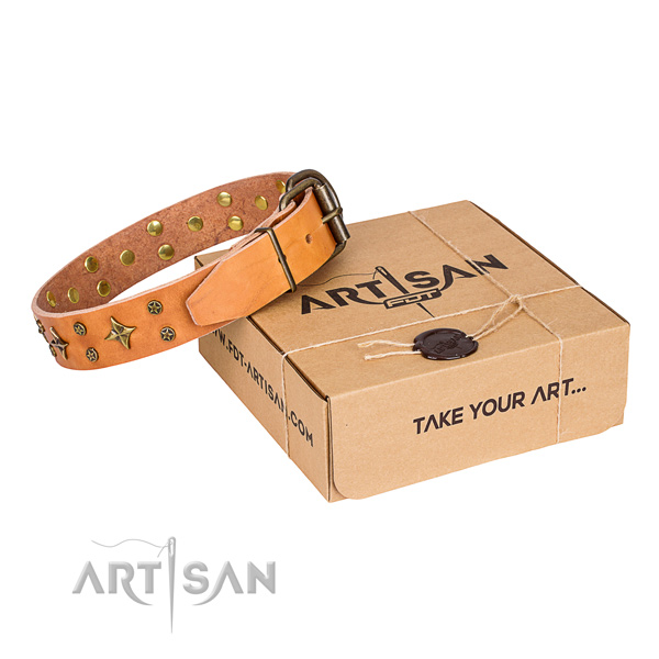 Embellished full grain natural leather dog collar for comfy wearing