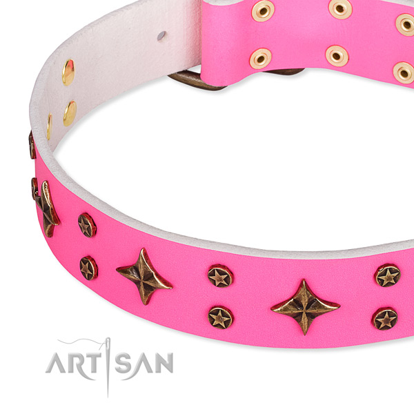 Full grain natural leather dog collar with unusual decorations