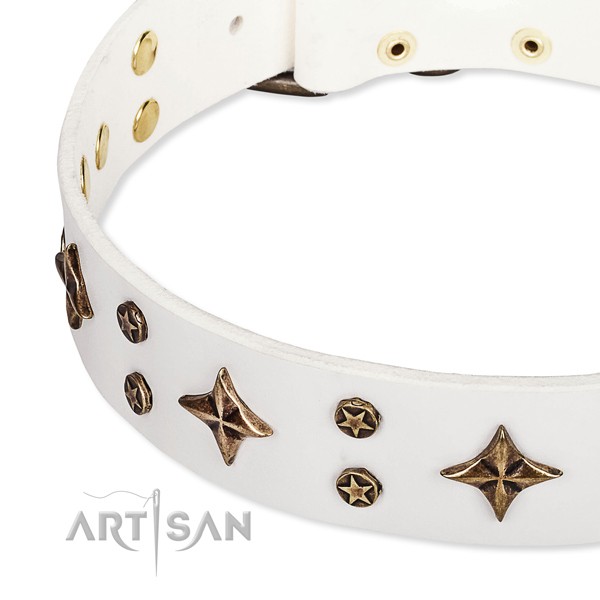 Full grain genuine leather dog collar with stunning studs