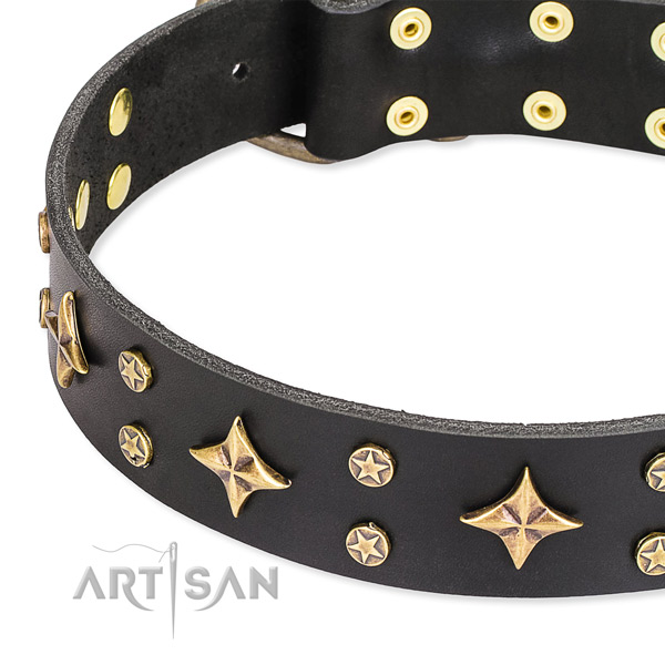 Full grain leather dog collar with inimitable decorations