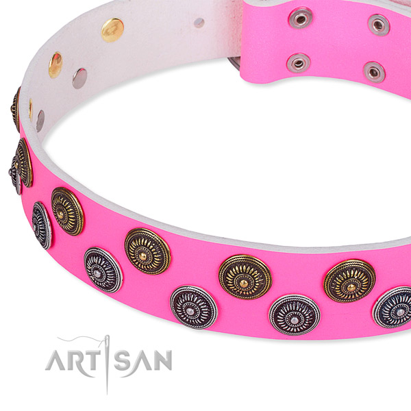Full grain leather dog collar with incredible studs