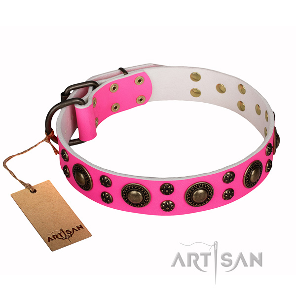Daily walking full grain natural leather collar with embellishments for your pet