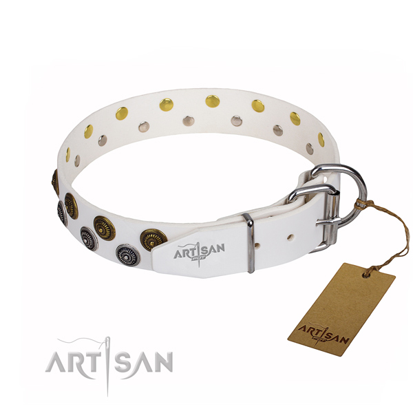 Daily use natural genuine leather collar with embellishments for your canine