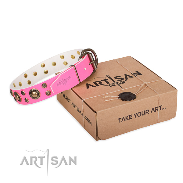 Leather dog collar with decorations for stylish walking