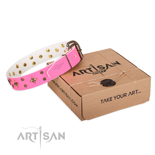 Decorated full grain natural leather dog collar for walking