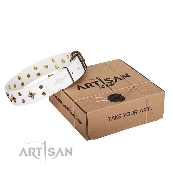 Embellished full grain natural leather dog collar for walking