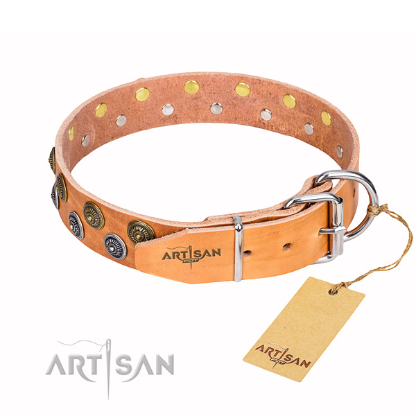 Everyday use full grain leather collar with adornments for your pet