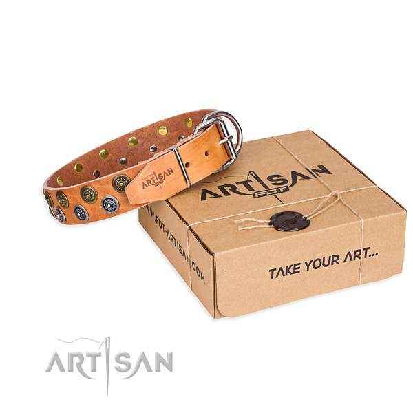 Full grain genuine leather dog collar with adornments for handy use