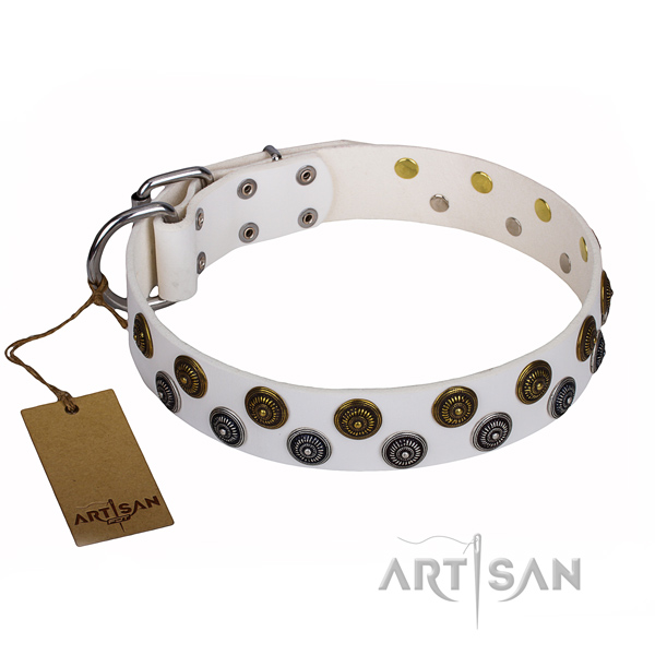 Stunning natural genuine leather dog collar for daily walking