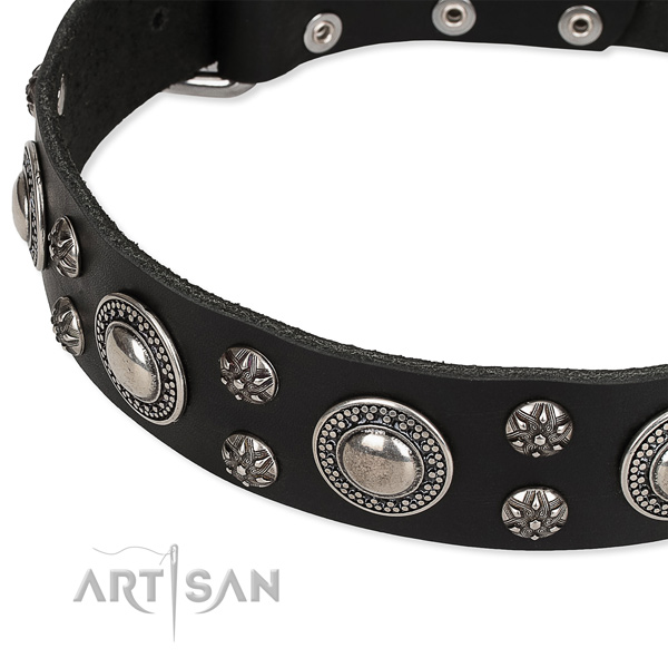 Easy to put on/off leather dog collar with resistant durable set of hardware