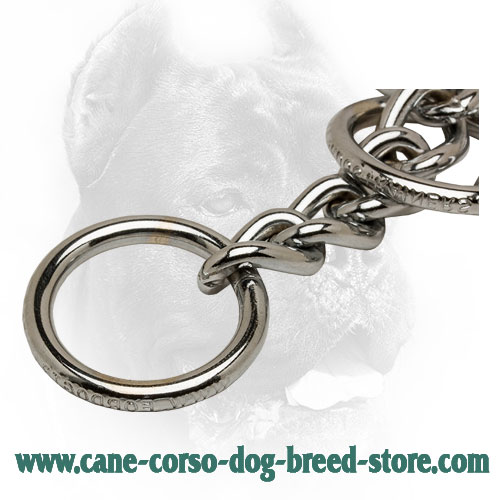 Cane Corso Choke Collar with Solid O-Ring