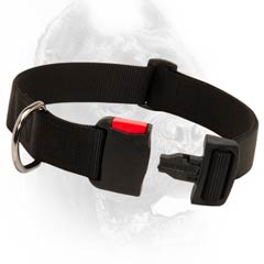 Practical nylon dog collar