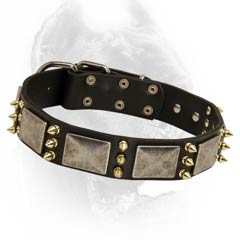 Durable leather dog collar