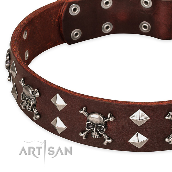 Top quality leather dog collar for training