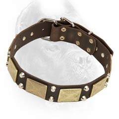 Studded leather dog collar