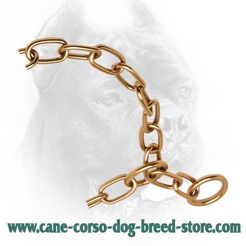 Strong Links on Curogan Cane Corso Fur Saver