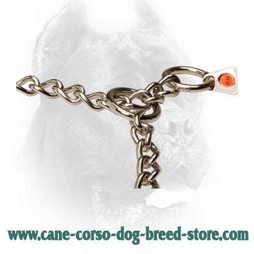 Durable O-Rings on Cane Corso Choke Collar 