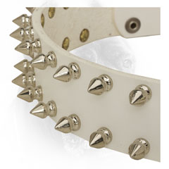 Spikes on Leather Cane Corso Collar
