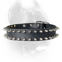 Leather Cane Corso collar black spiked
