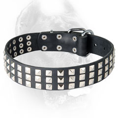 Leather black Cane Corso collar with rows of pyramids
