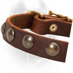 Brass studs set in a single row