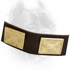 Decorated leather dog collar