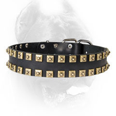 Walking leather dog collar with brass studs