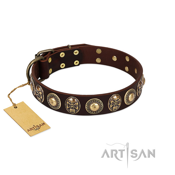 Extraordinary full grain leather dog collar for walking