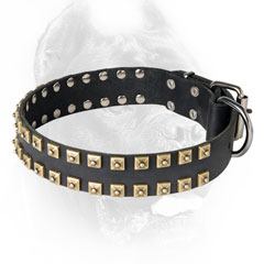 Handmade Cane Corso collar studded