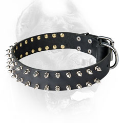 Leather Cane Corso collar spiked