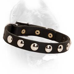 Designer Cane Corso collar made of superior leather