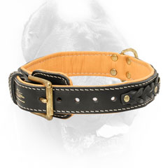 New dog collar leather with brass fittings