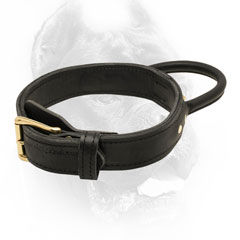 Wonderful training leather dog collar