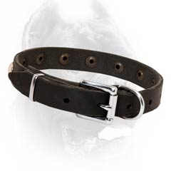 Dependable leather dog collar easy adjustable properly fitting