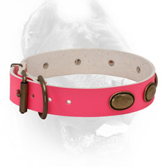 Pink leather dog collar for making females more beautiful