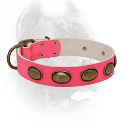 Pink leather Cane Corso collar with ovals