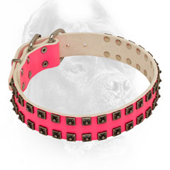 Leather pink dog collar with nickel pyramids